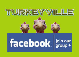 Turkeyville icon